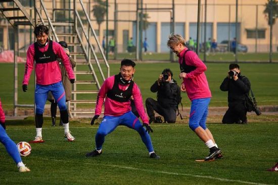 特级西西人体www444